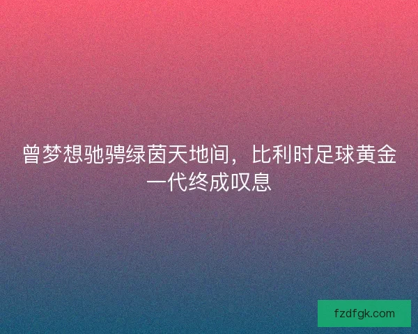 曾梦想驰骋绿茵天地间，比利时足球黄金一代终成叹息
